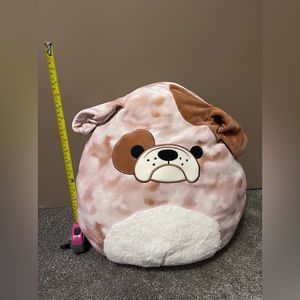 🐶 Bronk the bulldog